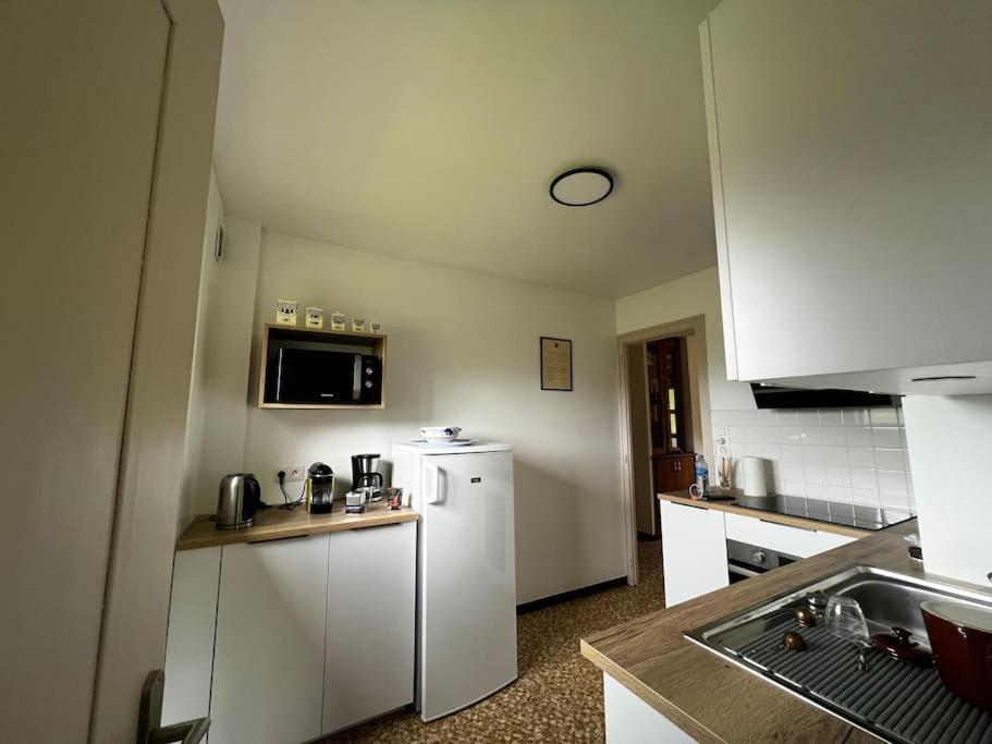 Appartement Dans Chalet - 75 M2 - 4 A 6 Personnes Saint-Gervais-les-Bains Zewnętrze zdjęcie